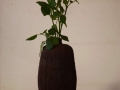 grand-vase-10