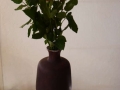 grand-vase-8