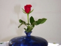 moyen-vase-5b