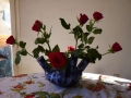 vase-multi-a